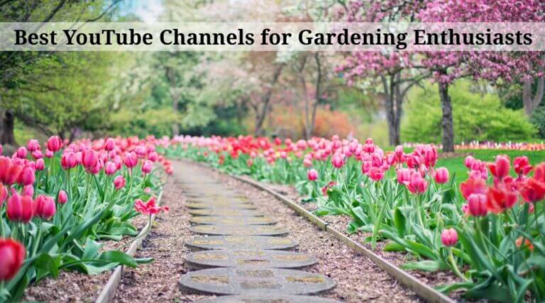 Best YouTube Channels for Gardening Enthusiasts